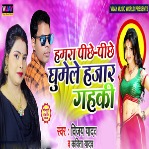 Humra Piche Piche Ghume Hajar Gahaki