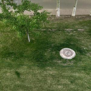 全世界都宣告521