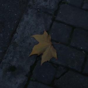 Autumn（prod. by YoungKyle）