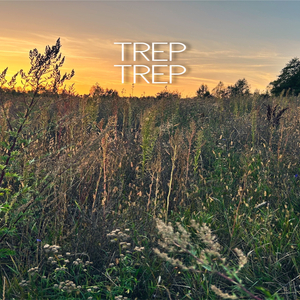 Trep Trep Remix 2023