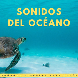 Sinfonía De Ola De Descanso