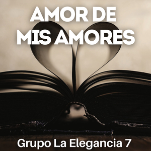Amor De Mis Amores