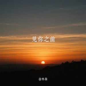 见你之前