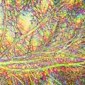 Traveling Through The Night