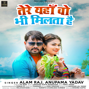 Tere Yahana Vo Bhi Milata Hai