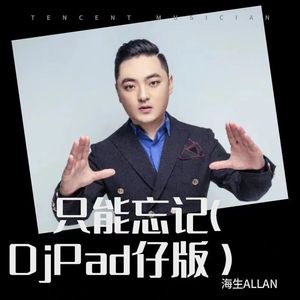 只能忘记 (DjPad仔版)