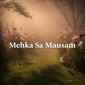 Mehka Sa Mausam
