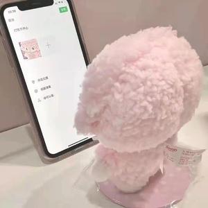 月亮圆也打动不了我