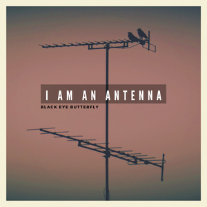 I Am an Antenna