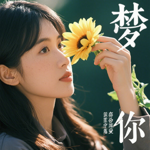 旧梦与你