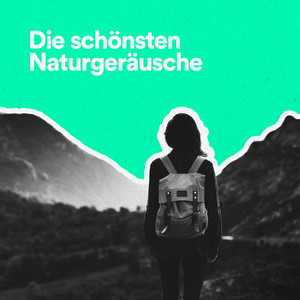 Entspannungstherapie (Musik aus der Natur)