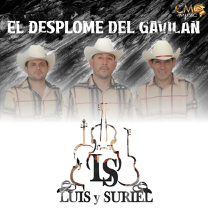 El Desplome Del Gavilán