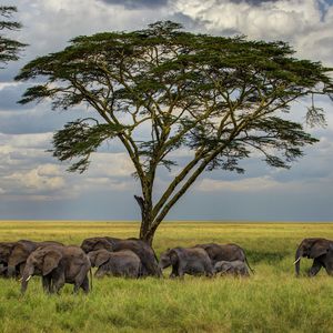 钢琴白噪音中的入眠序曲