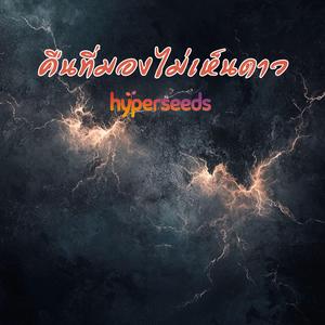 คืนที่มองไม่เห็นดาว