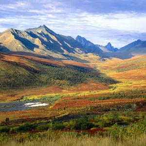 冬忆（静心钢琴曲）