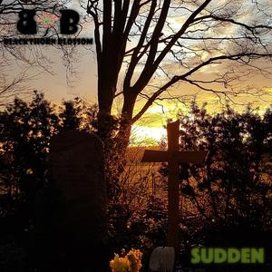 Sudden