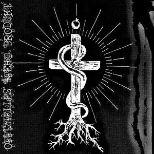 SCHLANGENSYNDROM #̴̡̡̛̖F̵̧̢̝̠͛̓̚È̶̘̜͎̌͛̌̑H̵̳͘