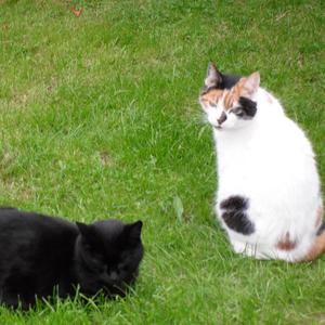 In Between Difference