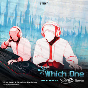 Which One (Waio Remix)