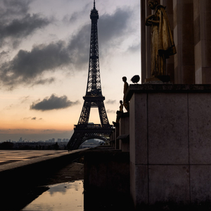 失语者（0.8×）