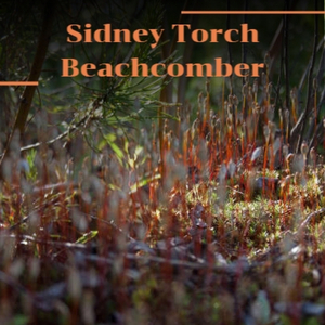 Sidney Torch Beachcomber