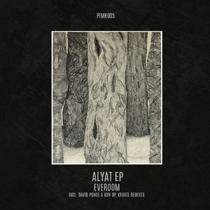 Vicious Desire (Original Mix)