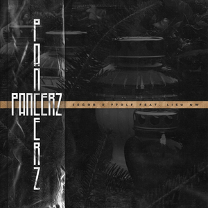Pancerz (feat. Lisu Nw)