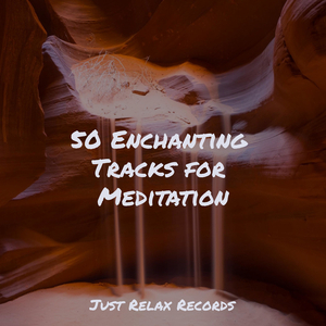 Free Spirit's Odyssey