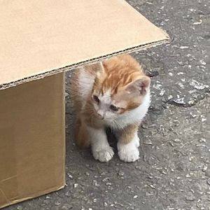 我们都没耐心了