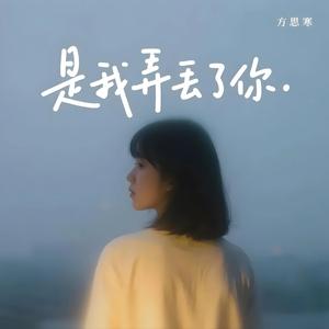 是我弄丢了你