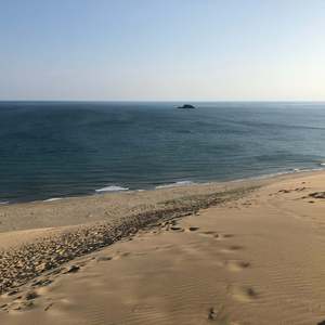 死にゆく人と花びら、儚く凛として