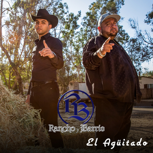El Agüitado