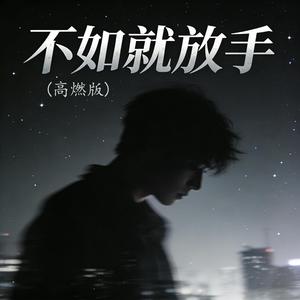 不如就放手 (高燃版)