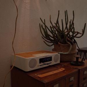 你不是真正的快乐