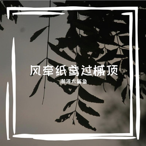 风牵纸鸢过槭顶