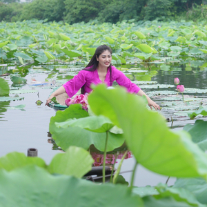 Lotus Lake