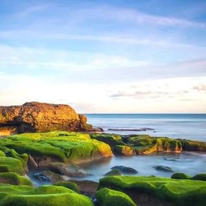 海豚之歌：冥想深处的治愈之音