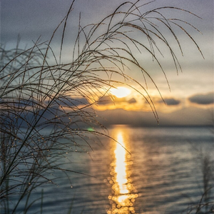 来生不走人间路