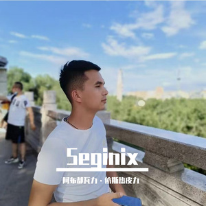 Seginix