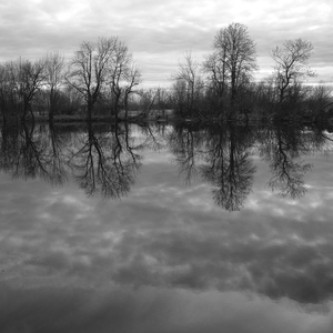 October's Larynx, Pt. 1