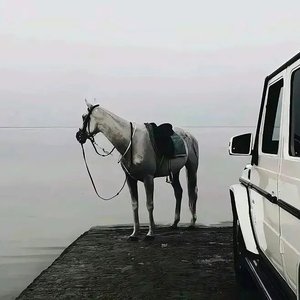 这个旋律太好听了