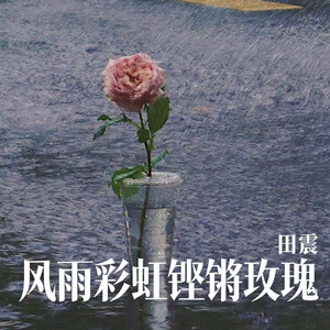 风雨彩虹铿锵玫瑰(2026版)