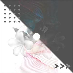 MASEraaaN-Akagegumo（Dyako remix）