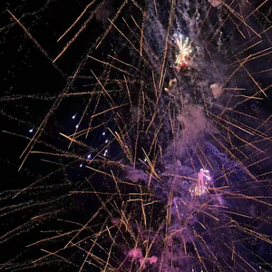 BINGBIAN（病变）2024