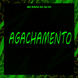 Agachamento