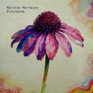 Echinacea