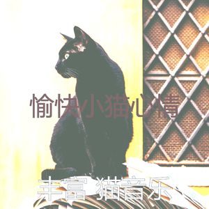微妙的小猫心情