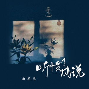 听惯了风说 (伴奏)