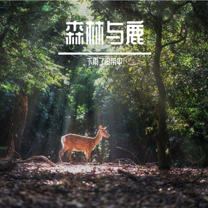 森林与鹿