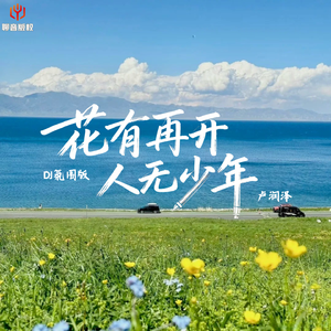 花有再开人无少年（DJ氛围版）